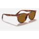 WAYFARER II CLASSIC
Lenses: Brown Classic  +  Frame: Striped Havana