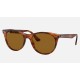 WAYFARER II CLASSIC
Lenses: Brown Classic  +  Frame: Striped Havana