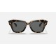 STATE STREETLenses: Dark Grey Classic  +  Frame: Brown Tortoise