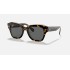 STATE STREETLenses: Dark Grey Classic  +  Frame: Brown Tortoise
