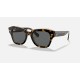 STATE STREETLenses: Dark Grey Classic  +  Frame: Brown Tortoise