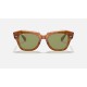 STATE STREET
Lenses: Light Green Classic  +  Frame: Tortoise