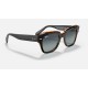 STATE STREET
Lenses: Grey/Blue Gradient  +  Frame: Black