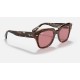 STATE STREET @COLLECTION
Lenses: Violet Photochromic Classic  +  Frame: Havana On Transparent Pink