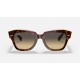 State Street
Lenses: Brown/Blue Gradient  +  Frame: Pink Tortoise