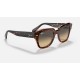 State Street
Lenses: Brown/Blue Gradient  +  Frame: Pink Tortoise
