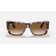 NOMAD FLECK
Lenses: Light Brown Gradient  +  Frame: Pink Havana