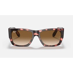 NOMAD FLECK
Lenses: Light Brown Gradient  +  Frame: Pink Havana