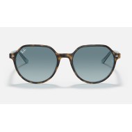 Thalia
Lenses: Blue Gradient  +  Frame: Tortoise