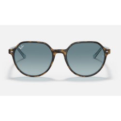 Thalia
Lenses: Blue Gradient  +  Frame: Tortoise