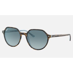 Thalia
Lenses: Blue Gradient  +  Frame: Tortoise
