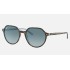 Thalia
Lenses: Blue Gradient  +  Frame: Tortoise
