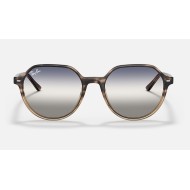 THALIA BI-GRADIENT
Lenses: Blue/Grey Gradient  +  Frame: Brown Havana