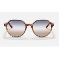 THALIA BI-GRADIENT
Lenses: Blue/Brown Gradient  +  Frame: Brown Havana