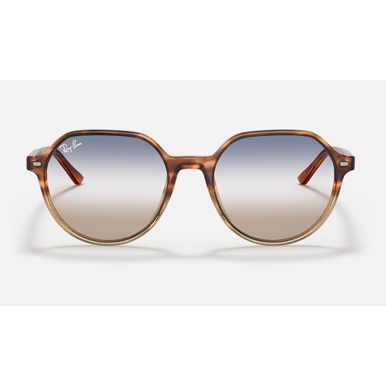 THALIA BI-GRADIENT
Lenses: Blue/Brown Gradient  +  Frame: Brown Havana