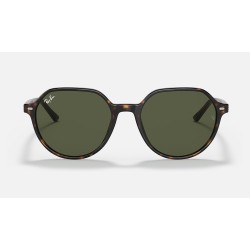 Thalia
Lenses: Green Classic G-15  +  Frame: Tortoise