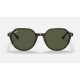 Thalia
Lenses: Green Classic G-15  +  Frame: Tortoise