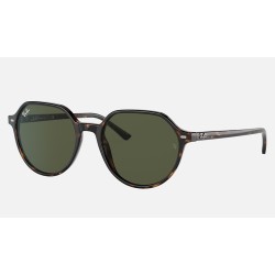 Thalia
Lenses: Green Classic G-15  +  Frame: Tortoise