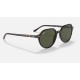 Thalia
Lenses: Green Classic G-15  +  Frame: Tortoise