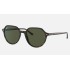 Thalia
Lenses: Green Classic G-15  +  Frame: Tortoise