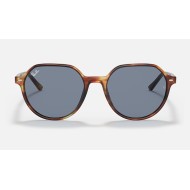 Thalia
Lenses: Blue Classic  +  Frame: Tortoise