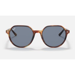 Thalia
Lenses: Blue Classic  +  Frame: Tortoise