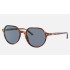 Thalia
Lenses: Blue Classic  +  Frame: Tortoise