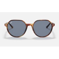 THALIA
Lenses: Blue Classic  +  Frame: Tortoise