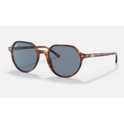 THALIA
Lenses: Blue Classic  +  Frame: Tortoise