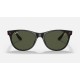 RB2202M SCUDERIA FERRARI COLLECTION
Lenses: Green Classic G-15  +  Frame: Black