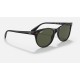 RB2202M SCUDERIA FERRARI COLLECTION
Lenses: Green Classic G-15  +  Frame: Black
