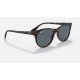 RB2202M SCUDERIA FERRARI COLLECTION
Lenses: Blue/Grey Classic  +  Frame: Havana