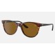 RB2202M SCUDERIA FERRARI COLLECTION
Lenses: Brown Classic B-15  +  Frame: Havana