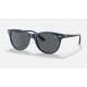 RB2202M SCUDERIA FERRARI COLLECTION
Lenses: Dark Grey Classic  +  Frame: Blue