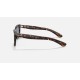 CARIBBEAN
Lenses: Dark Blue Classic  +  Frame: Shiny Havana