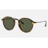 ROUND FLECK
Lenses: Green Classic G-15  +  Frame: Spotted Black Havana