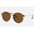 ROUND FLECK
Lenses: Brown Classic B-15  +  Frame: Tortoise