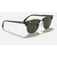 CLUBMASTER FLECK
Lenses: Green Classic G-15  +  Frame: Spotted Black Havana
