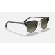 CLUBMASTER FLECK
Lenses: Grey Gradient  +  Frame: Spotted Grey/Green