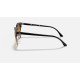 CLUBMASTER FLECK
Lenses: Light Brown Gradient  +  Frame: Spotted Brown And Blue