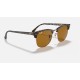 CLUBMASTER CLASSIC
Lenses: Brown Classic B-15  +  Frame: Shiny Havana