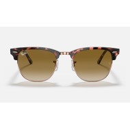 CLUBMASTER FLECK
Lenses: Light Brown Gradient  +  Frame: Pink Havana