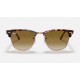 CLUBMASTER FLECK
Lenses: Light Brown Gradient  +  Frame: Pink Havana