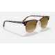 CLUBMASTER FLECK
Lenses: Light Brown Gradient  +  Frame: Pink Havana