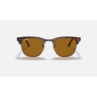 CLUBMASTER CLASSIC
Lenses: Brown Classic B-15  +  Frame: Tortoise