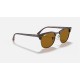 CLUBMASTER CLASSIC
Lenses: Brown Classic B-15  +  Frame: Tortoise