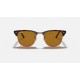 CLUBMASTER MARBLE
Lenses: Brown Classic B-15  +  Frame: Shiny Havana