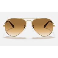 AVIATOR GRADIENT
Lenses: Light Brown Gradient  +  Frame: Gold