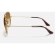 AVIATOR GRADIENT
Lenses: Light Brown Gradient  +  Frame: Gold