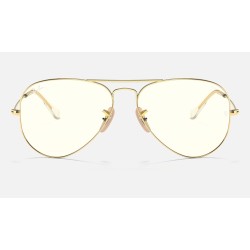 AVIATOR CLEAR EVOLVE
Lenses: Grey Photochromic Classic  +  Frame: Shiny Gold